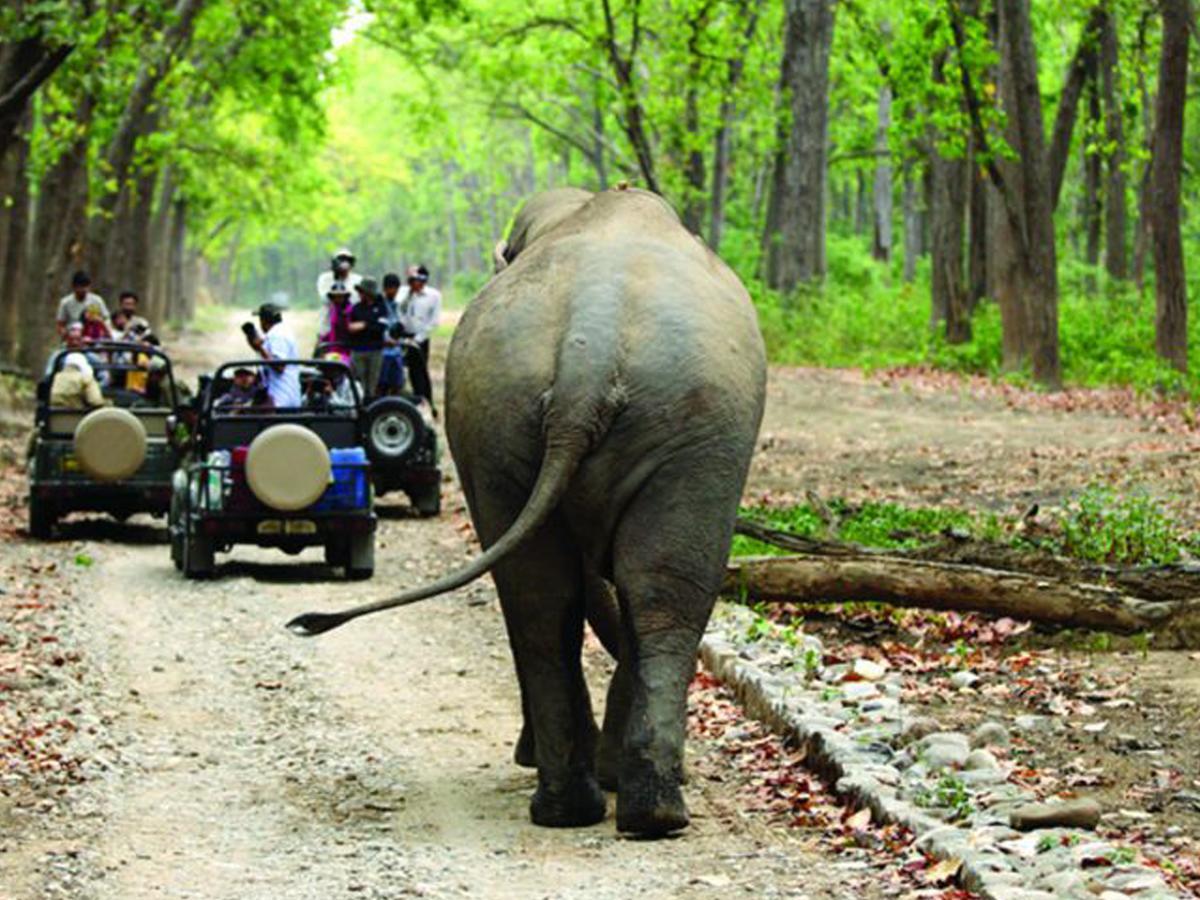 Corbett Treat Resort Rāmnagar Exteriör bild